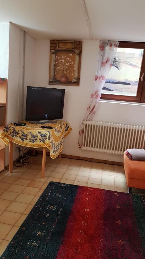 Gemuetliche Wohnung Bühl Екстериор снимка